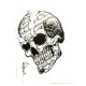 Tibetan Skulls