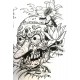 Tibetan Skulls